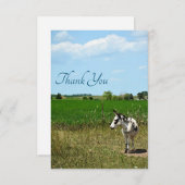 Carte De Remerciements âne dans un champ (Devant / Derrière)