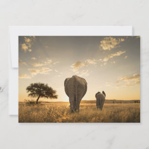 Carte De Remerciements Animaux Bébés les Plus Mignons Éléphant et son P