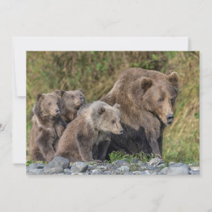 Carte De Remerciements Animaux Bébés les Plus Mignons   Maman Ours Kodiak