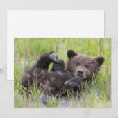 Carte De Remerciements Animaux Bébés les Plus Mignons | Ourson Brun Bébé (Devant / Derrière)