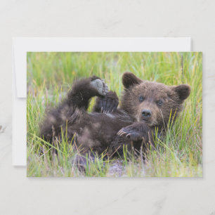 Carte De Remerciements Animaux Bébés les Plus Mignons   Ourson Brun Bébé