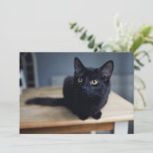 Carte De Remerciements Animaux Bébés les Plus Mignons | Portrait d'un Cha (Debout devant)