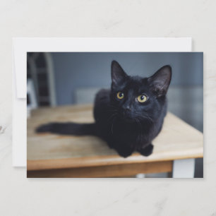 Carte De Remerciements Animaux Bébés les Plus Mignons Portrait d'un Cha