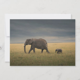 Carte De Remerciements Animaux de bébés cutest   African Elephant Family