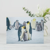 Carte De Remerciements Animaux de bébés cutest | Alimentation de pingouin (Debout devant)