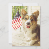 Animaux de bébés cutest | American Flag Corgi