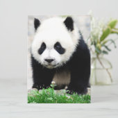Carte De Remerciements Animaux de bébés cutest | Baby Panda Bear (Debout devant)