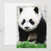 Carte De Remerciements Animaux de bébés cutest | Baby Panda Bear (Devant / Derrière)