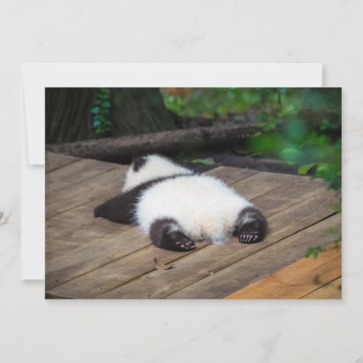 Carte De Remerciements Animaux de bébés cutest | Bébé Géant Panda Dormir (Devant)