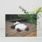 Carte De Remerciements Animaux de bébés cutest | Bébé Géant Panda Dormir (Debout devant)