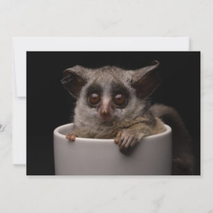 Carte De Remerciements Animaux de bébés cutest Bébé mignon