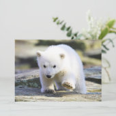 Carte De Remerciements Animaux de bébés cutest | Bébé Ours polaire (Debout devant)