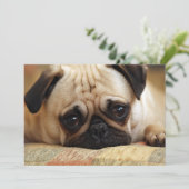 Carte De Remerciements Animaux de bébés cutest | Carlin bébé chiot (Debout devant)