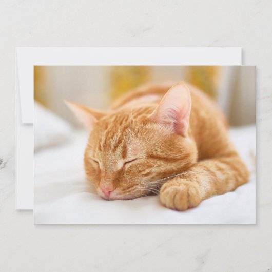 Carte De Remerciements Animaux de bébés cutest | Chat de gingembre dorman (Devant)