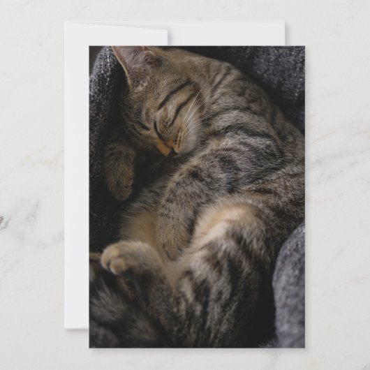 Carte De Remerciements Animaux de bébés cutest | Chat Tabby Dormant (Devant)