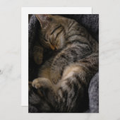Carte De Remerciements Animaux de bébés cutest | Chat Tabby Dormant (Devant / Derrière)