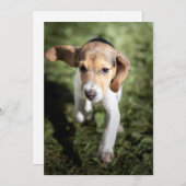 Carte De Remerciements Animaux de bébés cutest | Chiot Beagle (Devant / Derrière)
