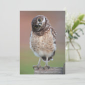Carte De Remerciements Animaux de bébés cutest | Chouette à tête bractée (Debout devant)