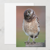 Carte De Remerciements Animaux de bébés cutest | Chouette à tête bractée (Devant / Derrière)