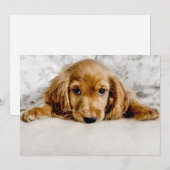 Carte De Remerciements Animaux de bébés cutest | Cocker Spaniel (Devant / Derrière)