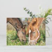 Carte De Remerciements Animaux de bébés cutest | Colt à cheval (Debout devant)