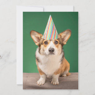Carte De Remerciements Animaux de bébés cutest Corgi Anniversaire Chiot