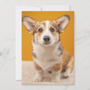 Carte De Remerciements Animaux de bébés cutest   Corgi Portrait sur Orang
