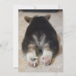 Carte De Remerciements Animaux de bébés cutest Corgi Puppy Derrière