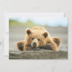 Carte De Remerciements Animaux de bébés cutest   Cub d'ours Brown côtier