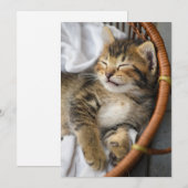 Carte De Remerciements Animaux de bébés cutest | Cute Tabby Chat Dormir (Devant / Derrière)