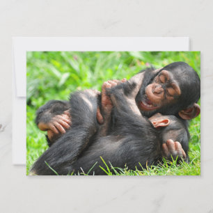Carte De Remerciements Animaux de bébés cutest   Deux jeunes chimpanzés
