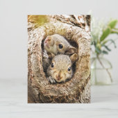 Carte De Remerciements Animaux de bébés cutest | Écureuils curieux (Debout devant)