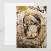 Carte De Remerciements Animaux de bébés cutest | Écureuils curieux (Devant / Derrière)