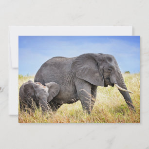Carte De Remerciements Animaux de bébés cutest   Eléphant africain et mèr