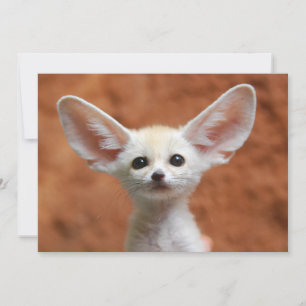 Carte De Remerciements Animaux de bébés cutest   Fennec Fox Pup