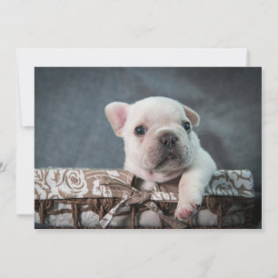 Carte De Remerciements Animaux de bébés cutest French Bulldog