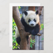Carte De Remerciements Animaux de bébés cutest | Géant Panda Cub (Devant / Derrière)