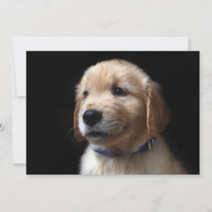 Carte De Remerciements Animaux de bébés cutest Golden Retriever Puppy