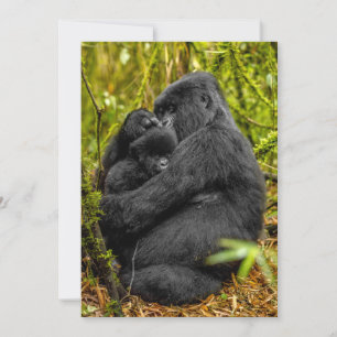 Carte De Remerciements Animaux de bébés cutest Gorilla & bébé