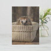 Carte De Remerciements Animaux de bébés cutest | Hérisson dans un panier (Debout devant)