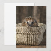 Carte De Remerciements Animaux de bébés cutest | Hérisson dans un panier (Devant / Derrière)