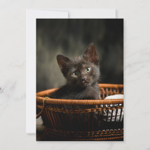 Carte De Remerciements Animaux de bébés cutest Kitten dans le panier