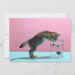 Carte De Remerciements Animaux de bébés cutest   Kitten En regardant le b