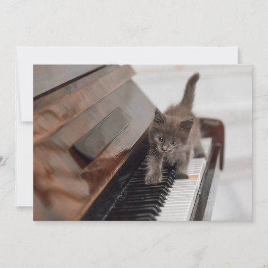 Carte De Remerciements Animaux de bébés cutest | Kitten sur piano (Devant)