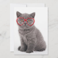 Animaux de bébés cutest | Lunettes cardiaques de c