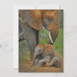 Carte De Remerciements Animaux de bébés cutest   Mama Elephant & Baby