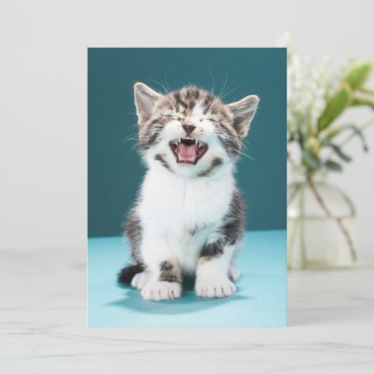Carte De Remerciements Animaux de bébés cutest | Mewing Baby Kitten (Debout devant)