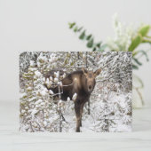 Carte De Remerciements Animaux de bébés cutest | Moose Calf (Debout devant)