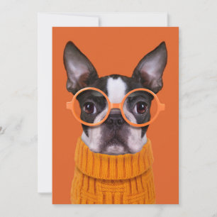 Carte De Remerciements Animaux de bébés cutest Orange Boston Terrier