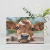 Carte De Remerciements Animaux de bébés cutest | Petite vache (Debout devant)